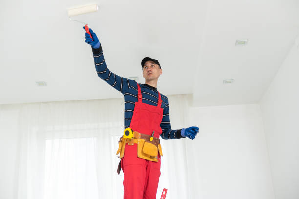 Professional Dry wall and painting in Haviland, NY